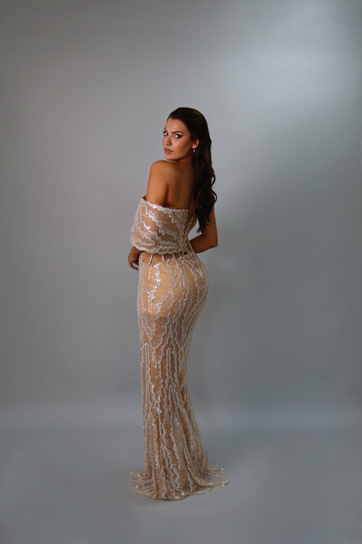 Celeste Crystal Gown